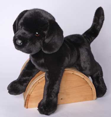 black lab teddy