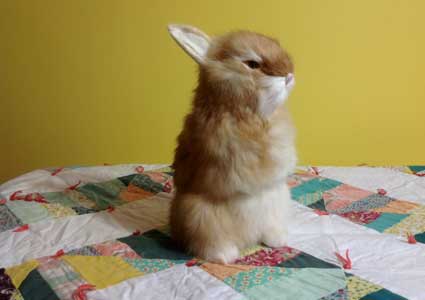 lifelike stuffed bunny