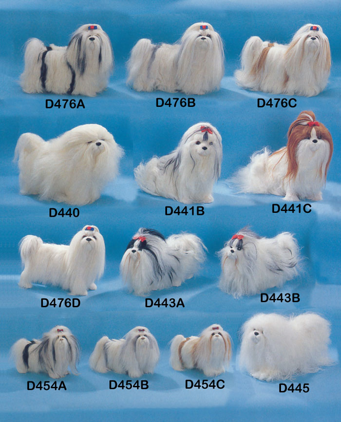 dog apso lhasa