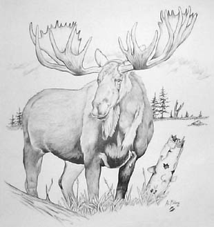 Moose shirt, back print