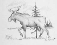 Moose shirt, front print