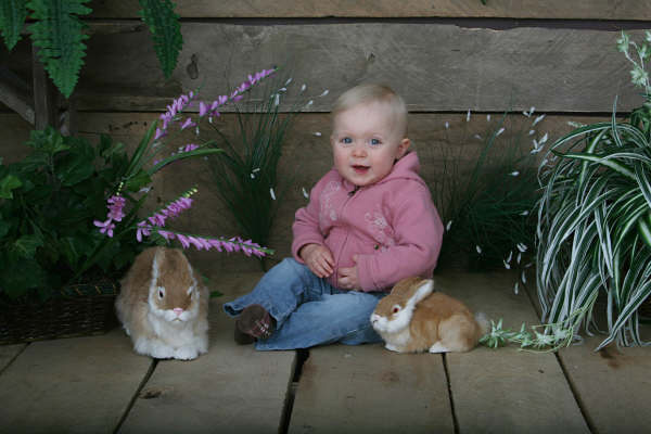 Click here to see realistic bunnies